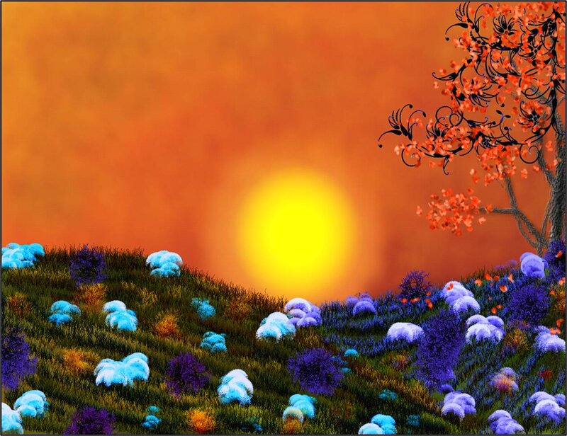Colorful Flowers on Hill