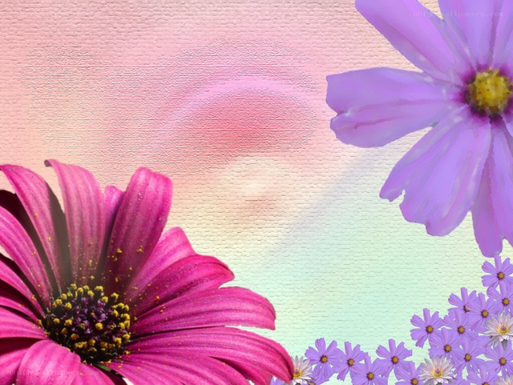 colorful flowers on textured background