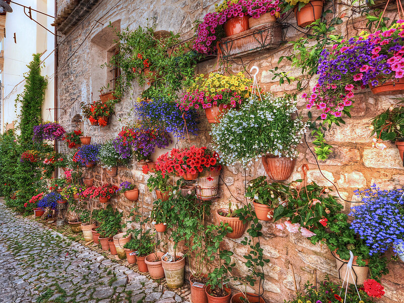 Colorful Flowers on Wall — Red