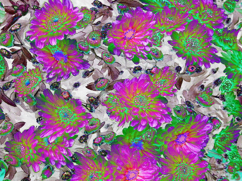 Colorful Flowers Pattern — Pink