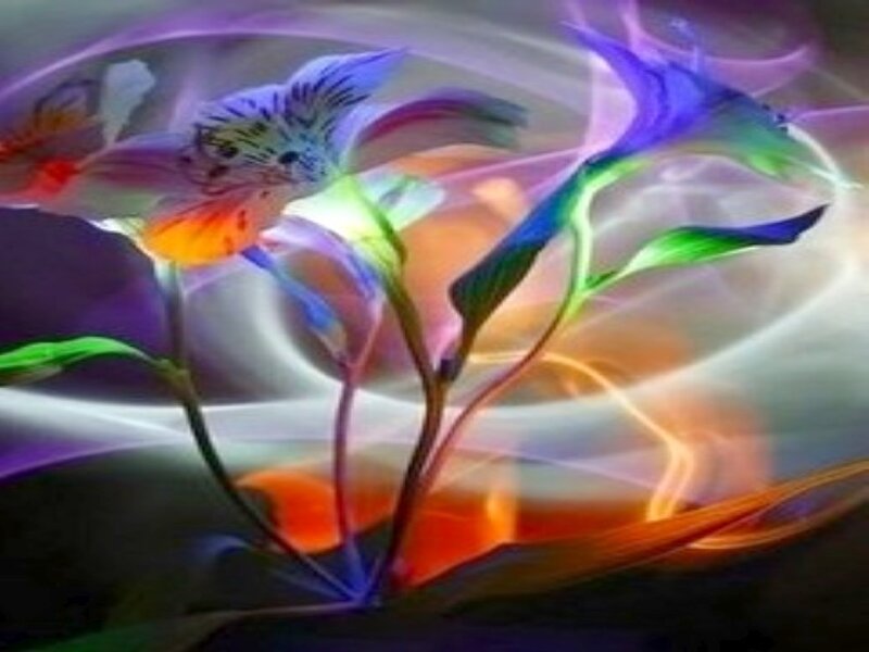 Colorful Flowers — Purple, Ethereal
