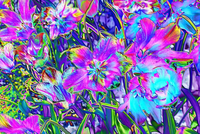 Colorful Flowers — Purple