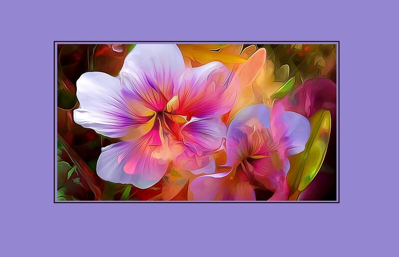 Colorful Flowers — Purple, Vibrant