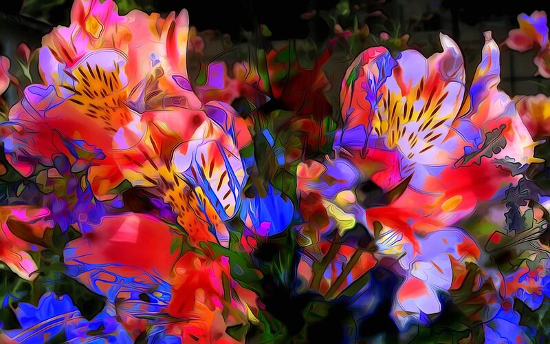 Colorful Flowers — Red
