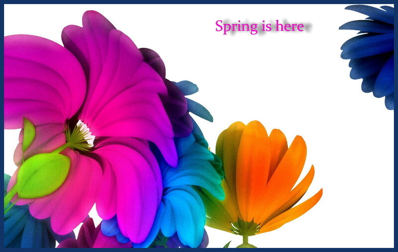 Colorful Flowers