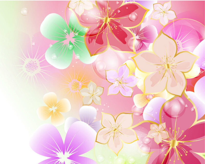 Colorful Flowers with Dew