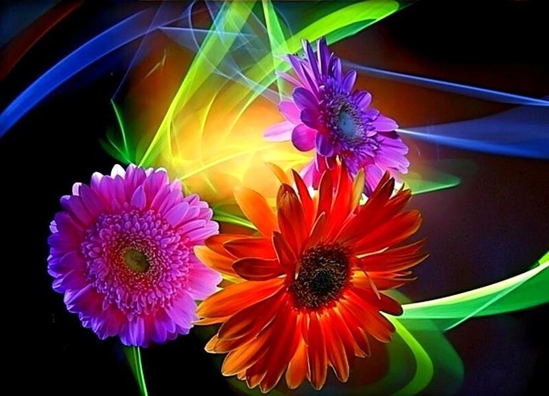 Colorful flowers with light effects