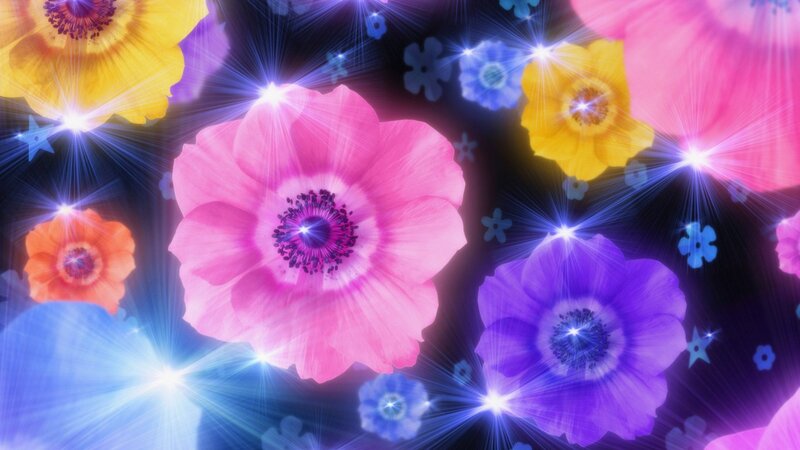 Colorful Flowers with Sparkles — Pink, Magical, Digital Art, Stars