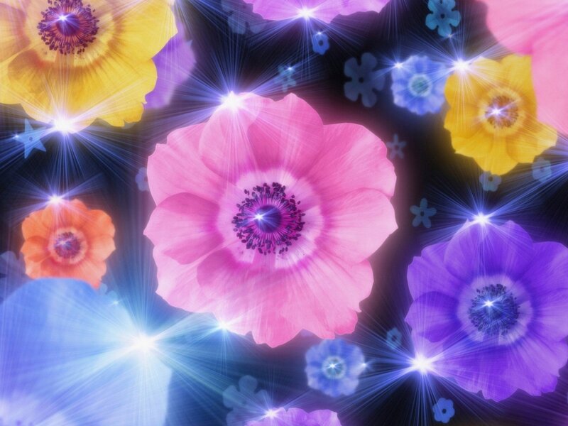 Colorful Flowers with Sparkles — Pink, Magical