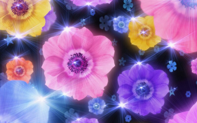 colorful flowers with sparkles
