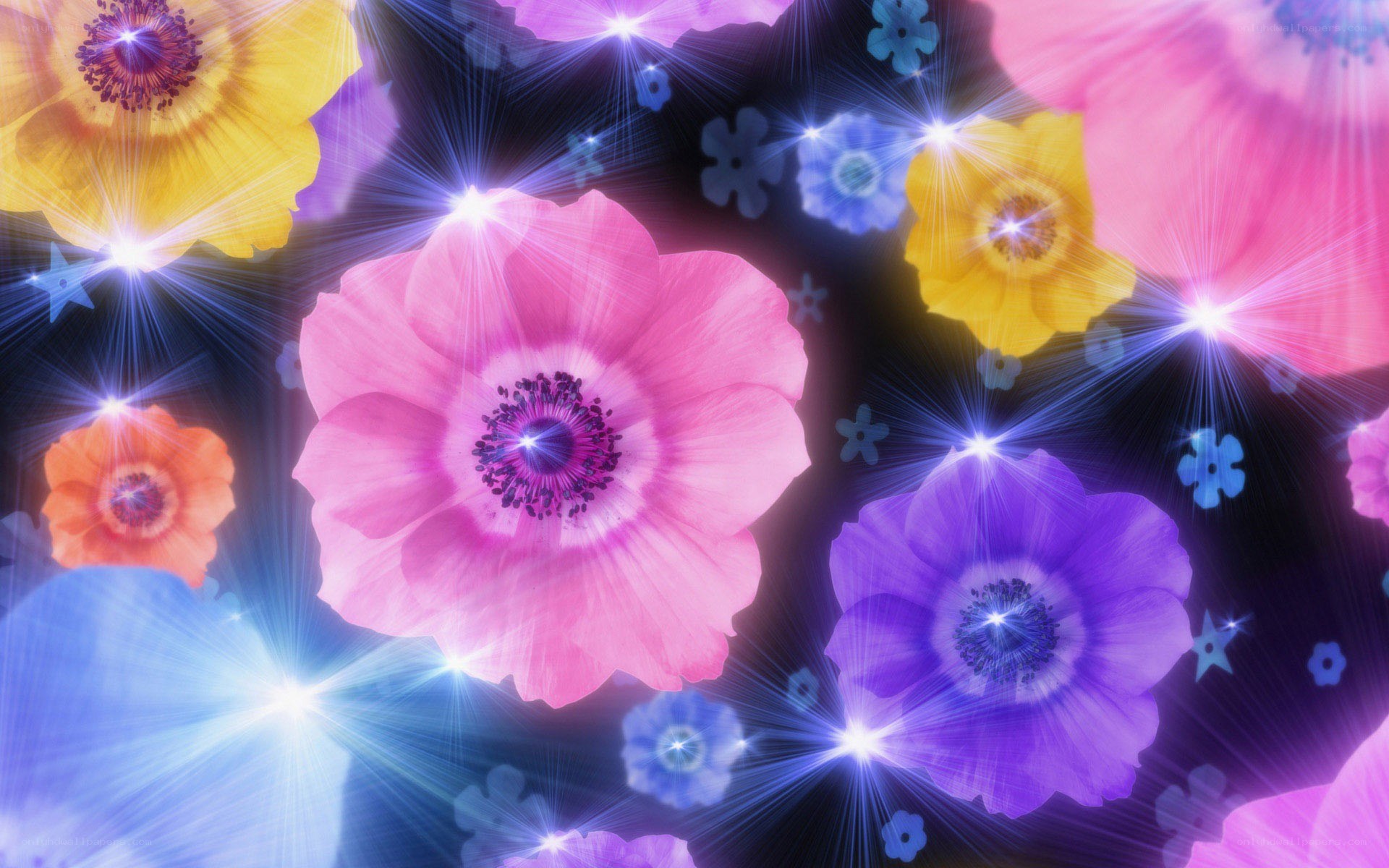 colorful flowers with sparkles