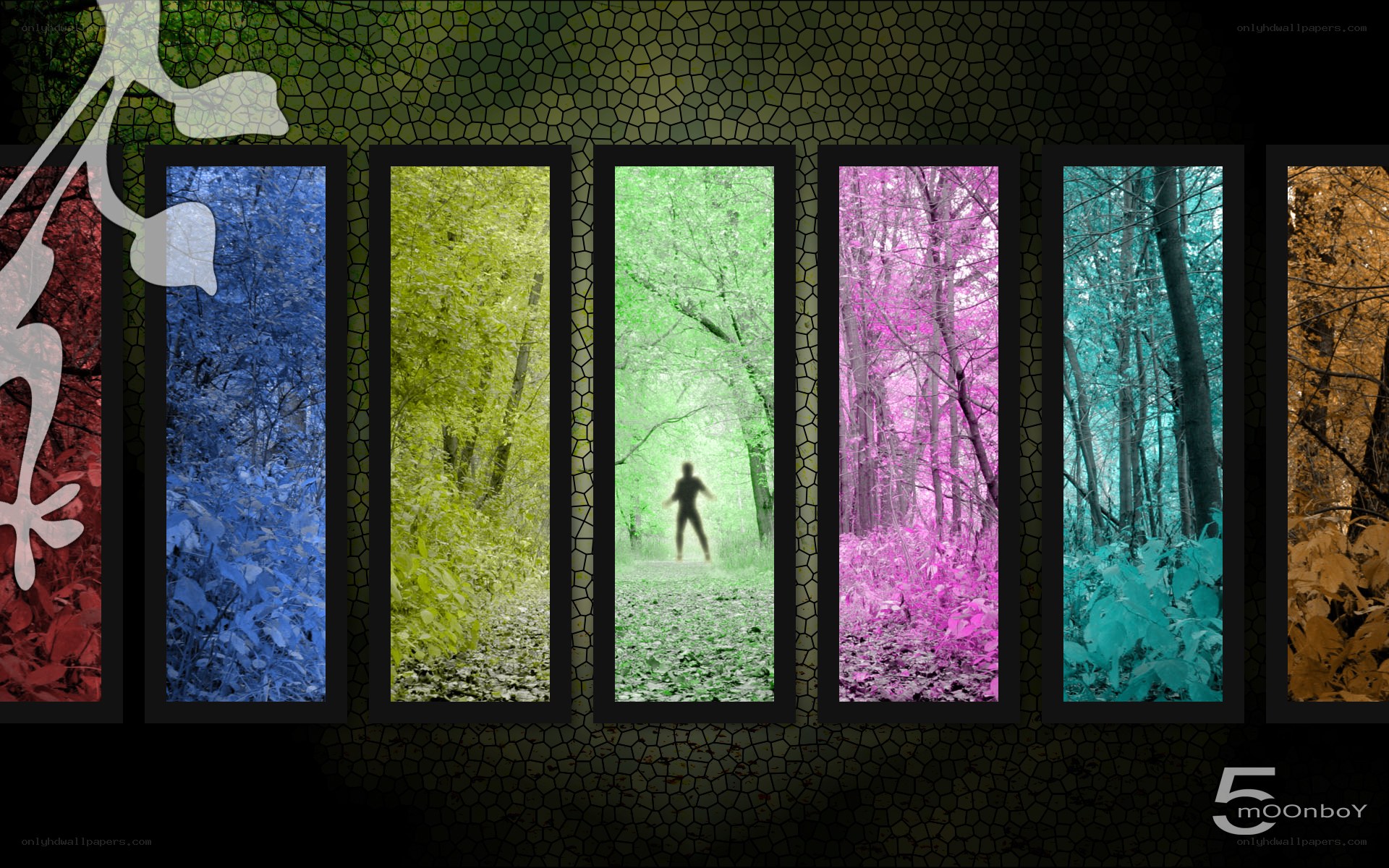 Colorful forest panels with silhouette