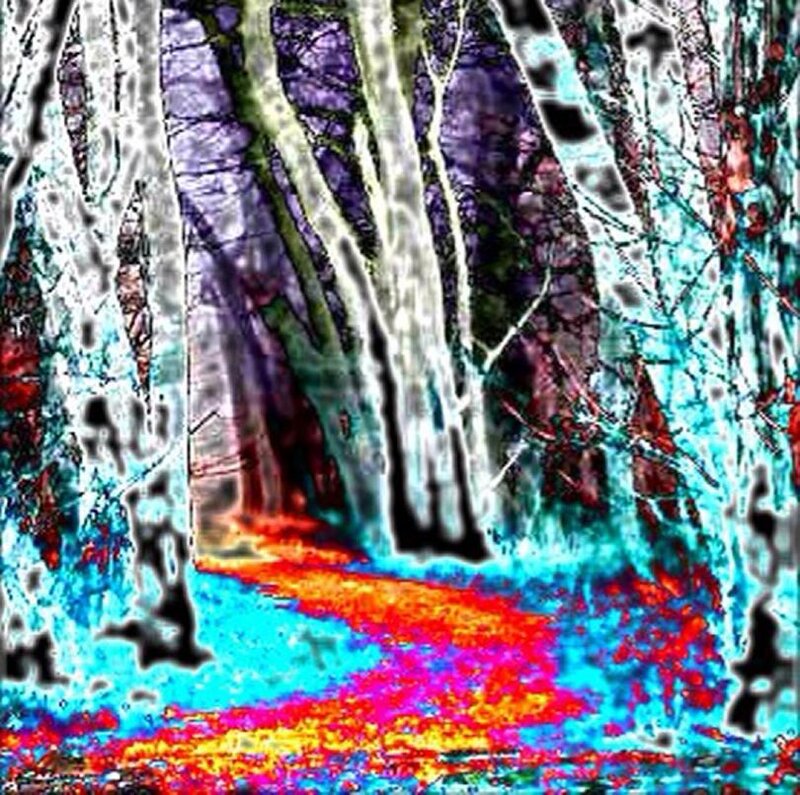 colorful forest path