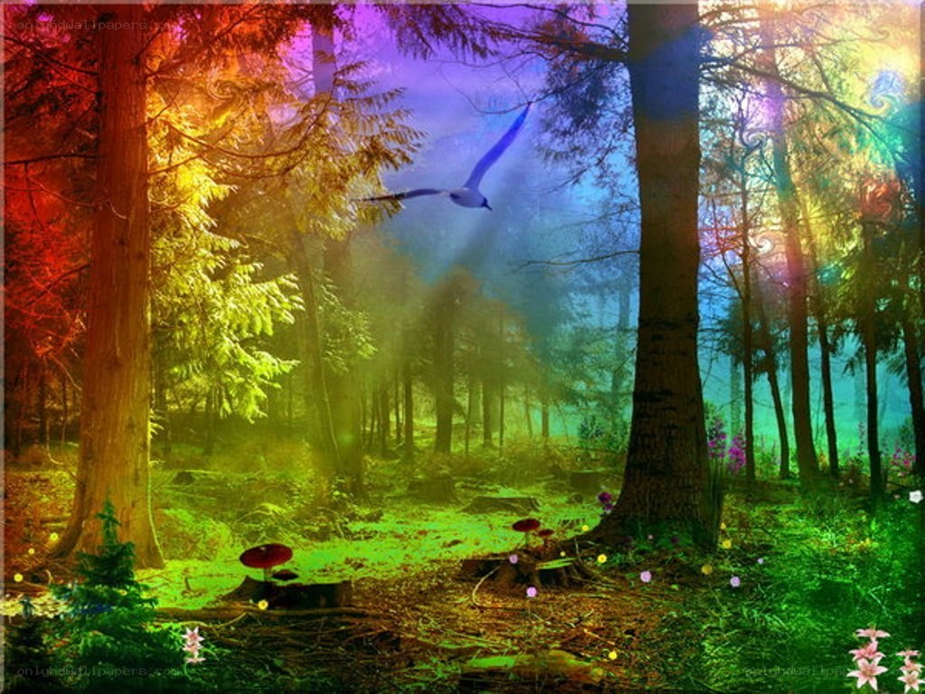 Colorful forest with flying bird
