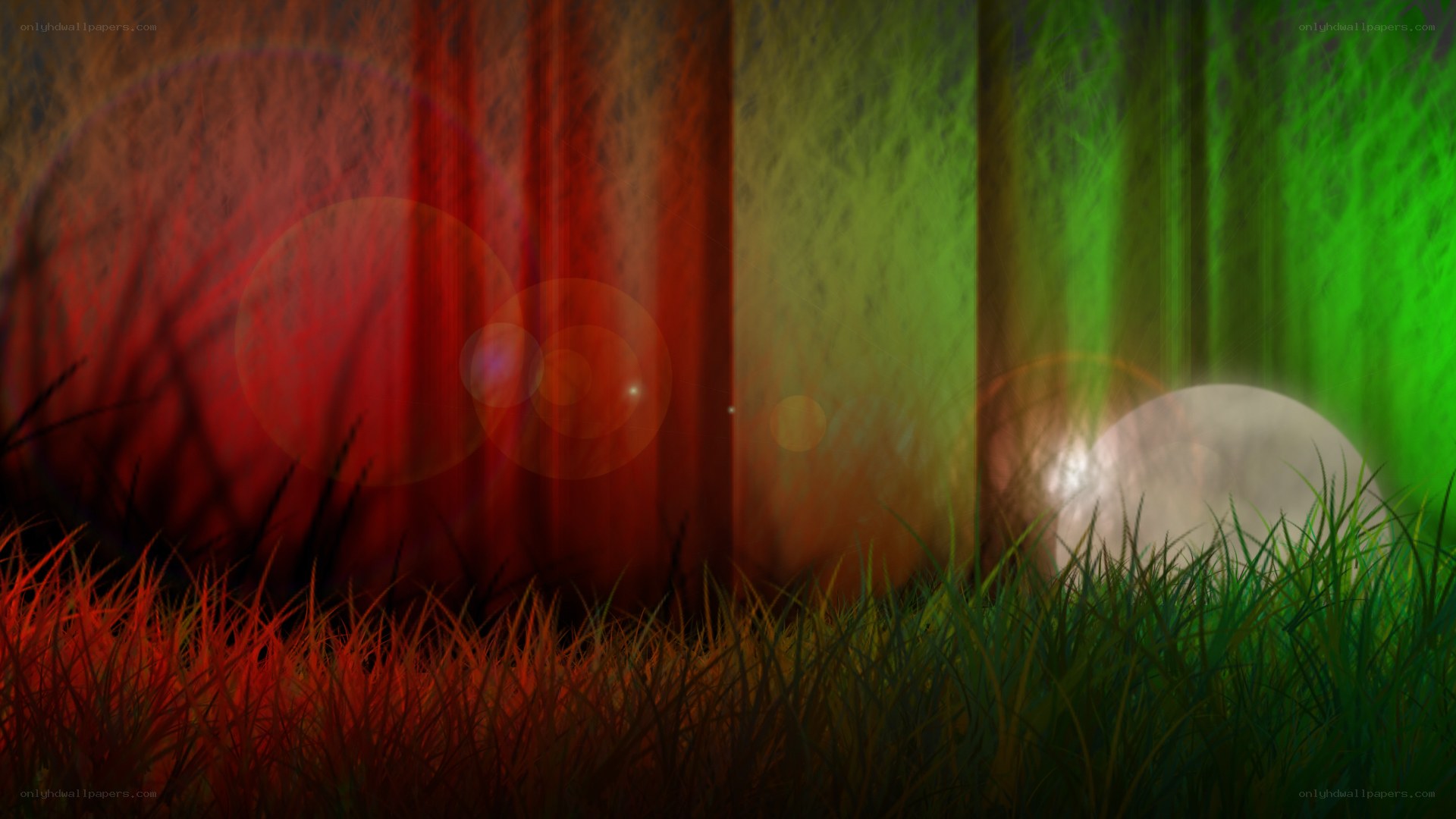 colorful forest with lens flares