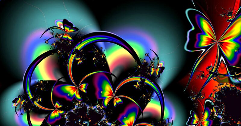 Colorful Fractal Butterflies — Black