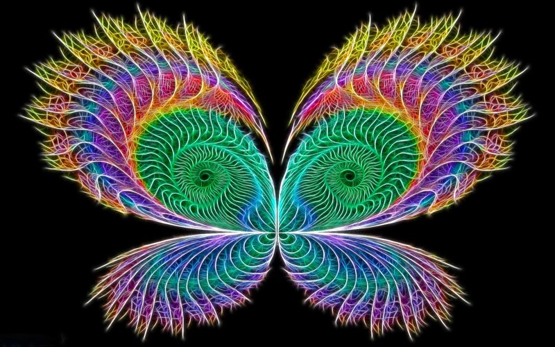 colorful fractal butterfly