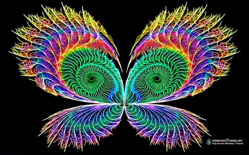 colorful fractal butterfly