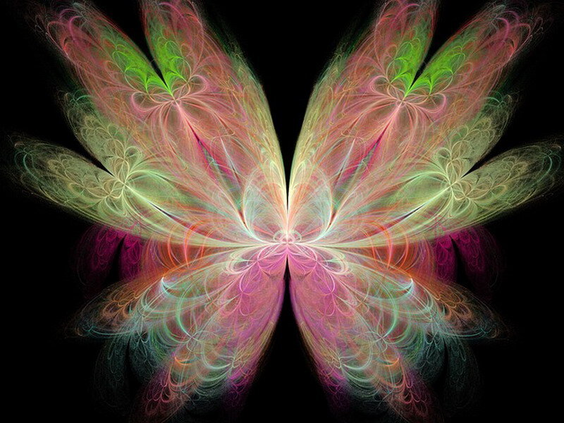Colorful Fractal Butterfly — Pink