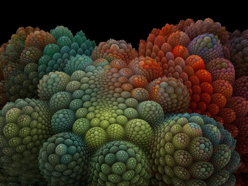 Colorful fractal coral formations