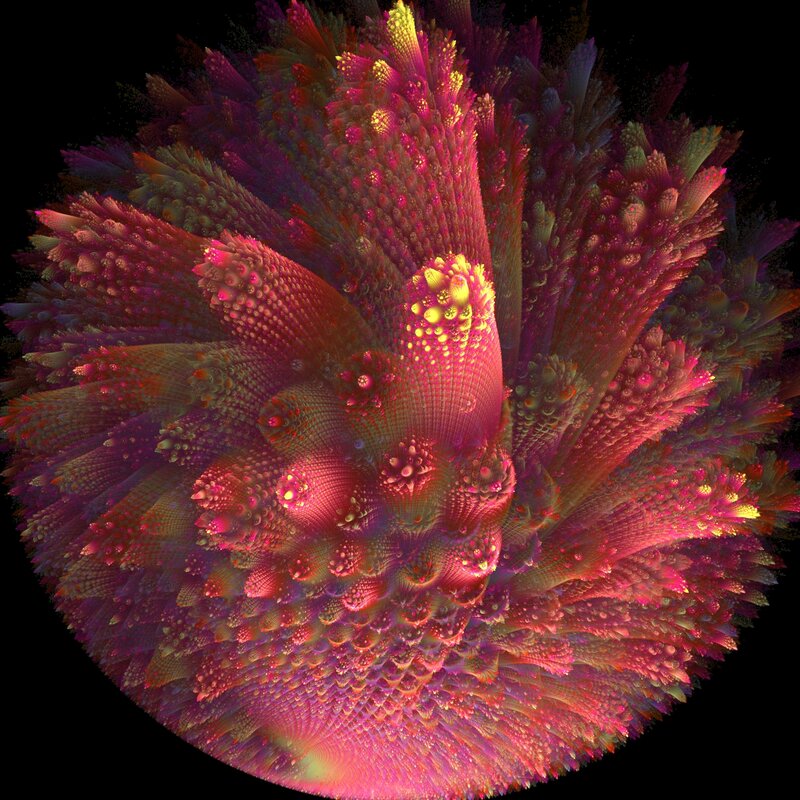 Colorful fractal coral structure