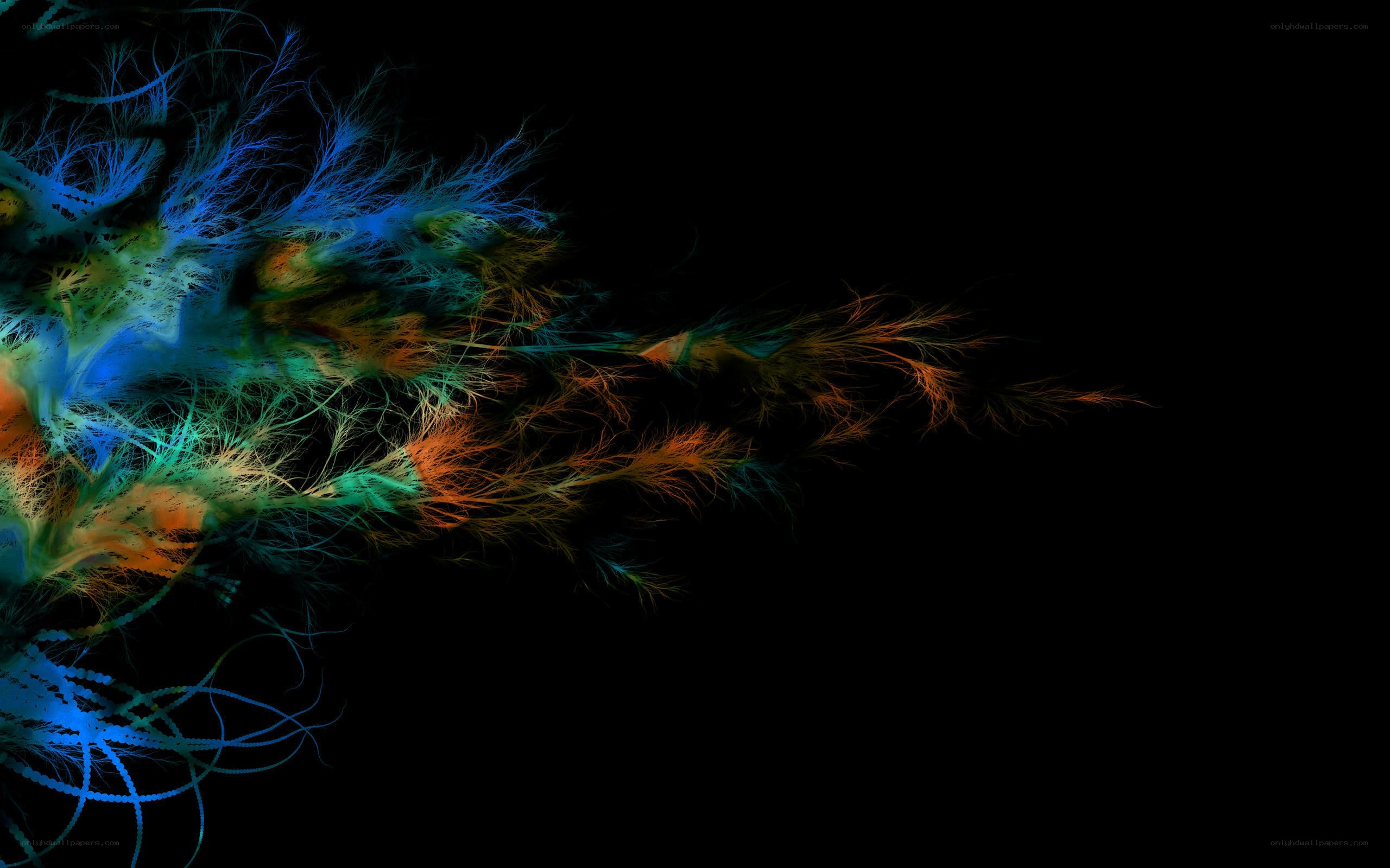 colorful fractal explosion