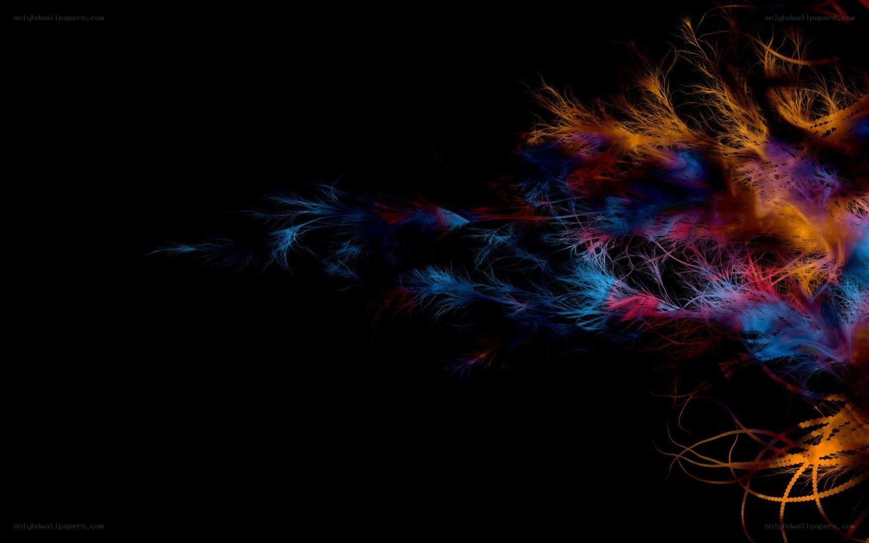 colorful fractal explosion