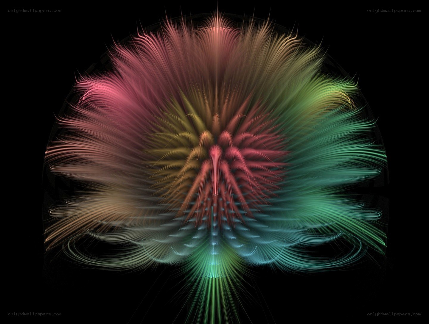 Colorful fractal explosion