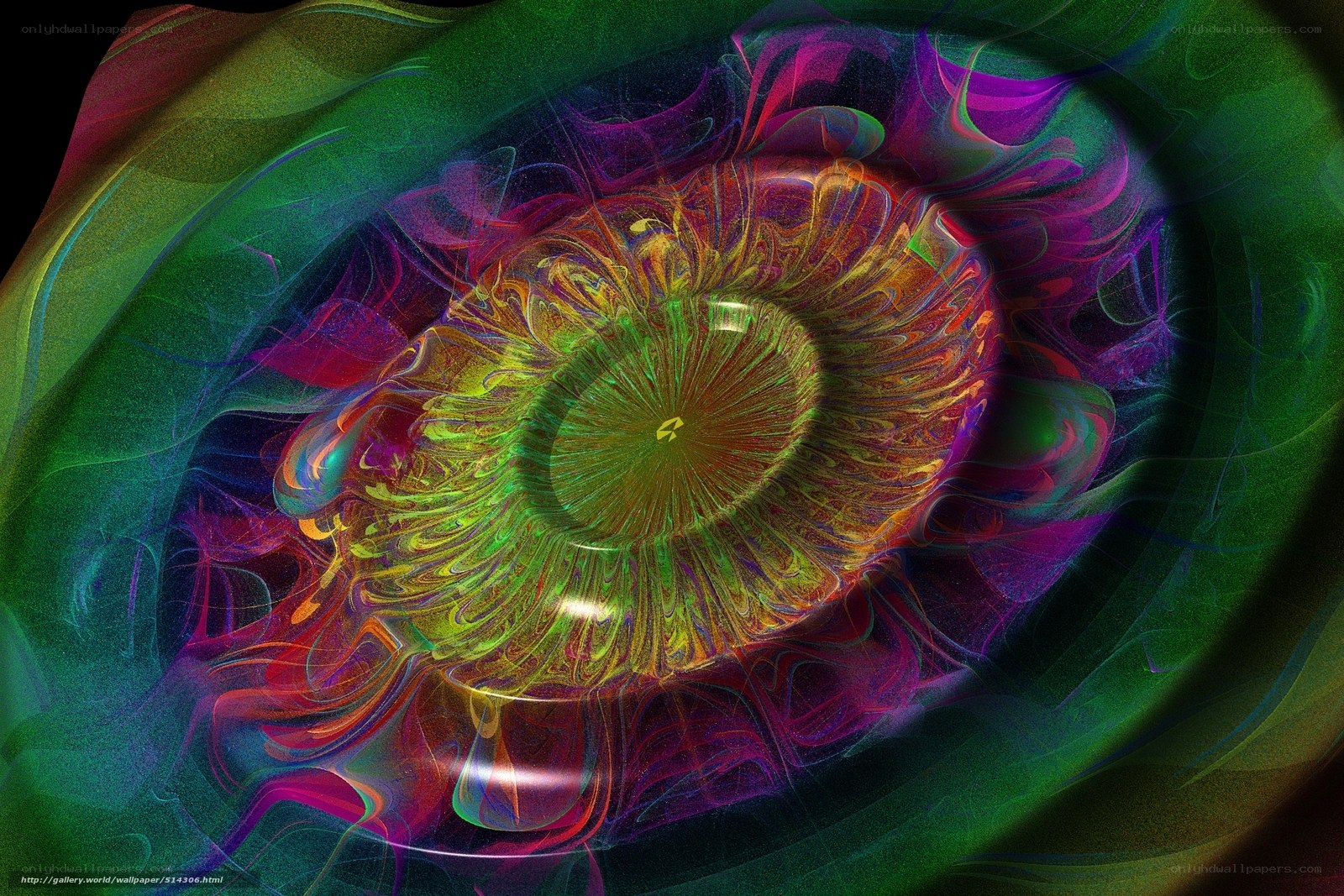 Colorful fractal eye