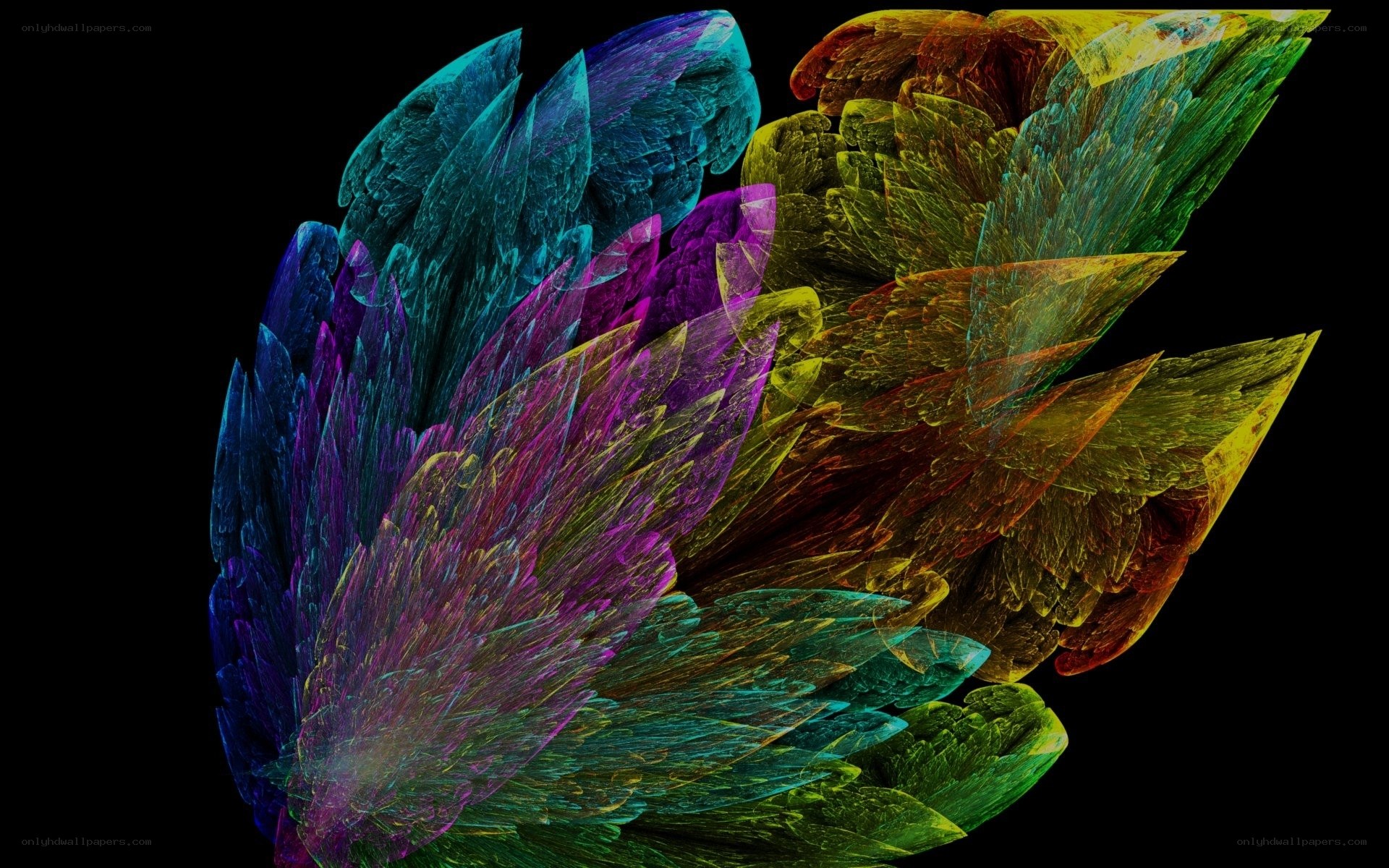 Colorful fractal feather design