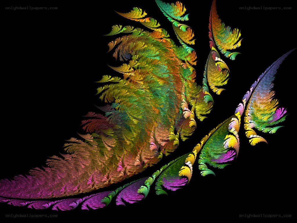 colorful fractal feather pattern