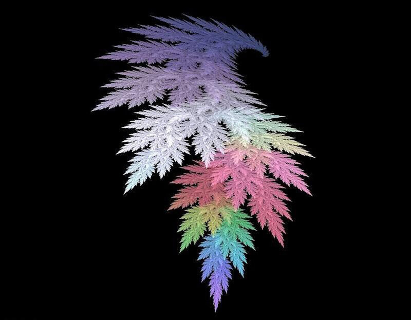 Colorful Fractal Fern