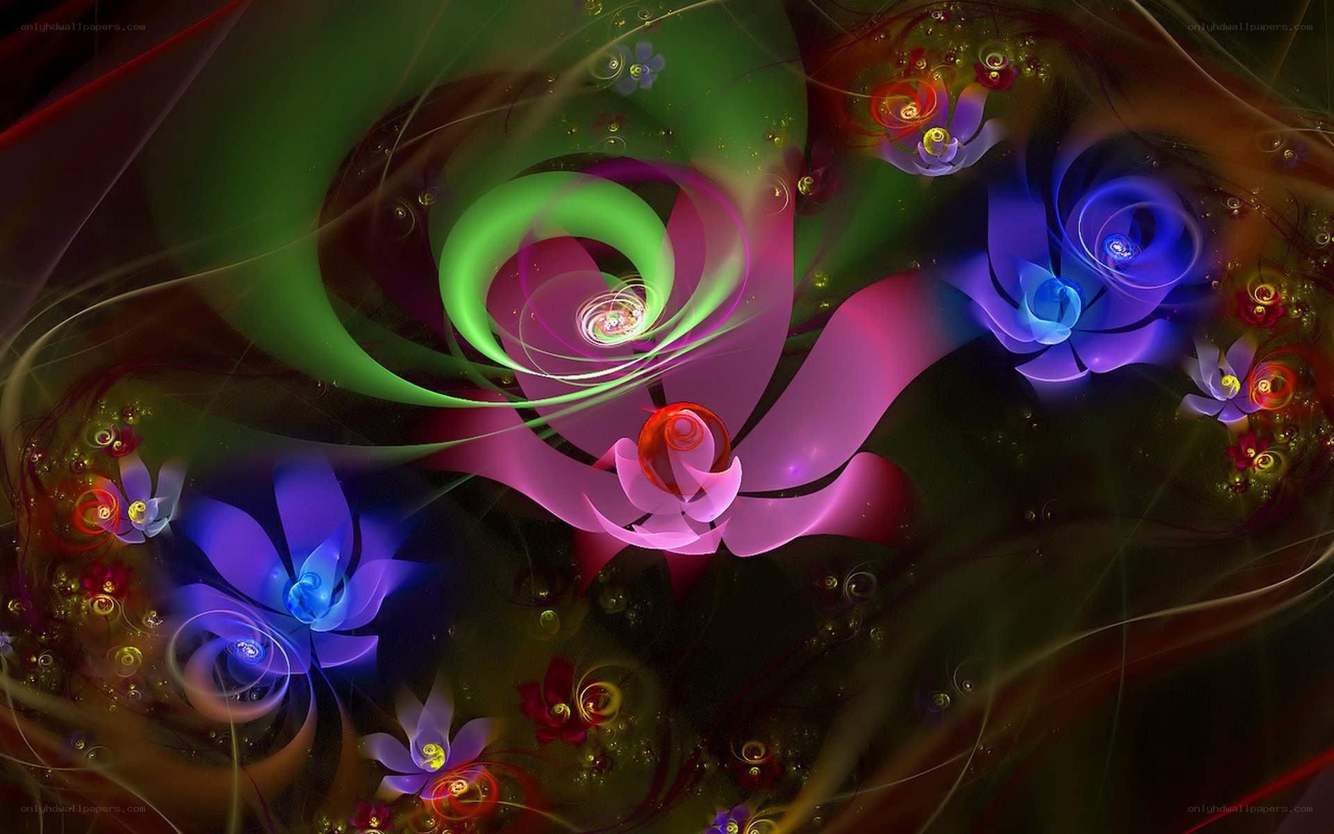 Colorful fractal floral patterns