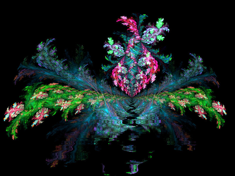 Colorful fractal floral reflection