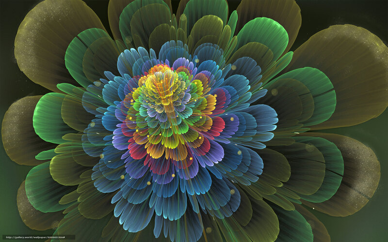 Colorful fractal flower