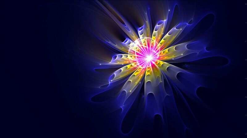 colorful fractal flower