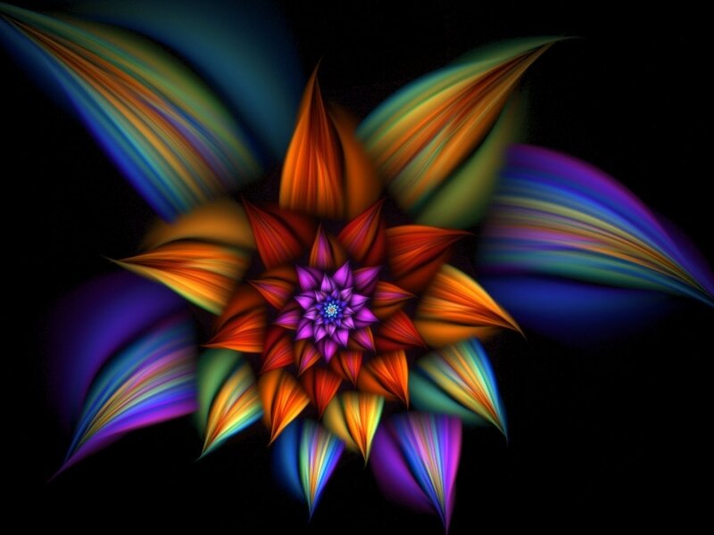 Colorful fractal flower