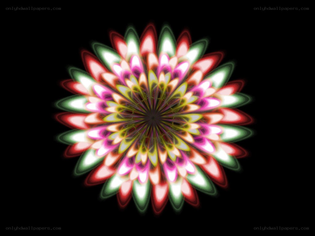 colorful fractal flower