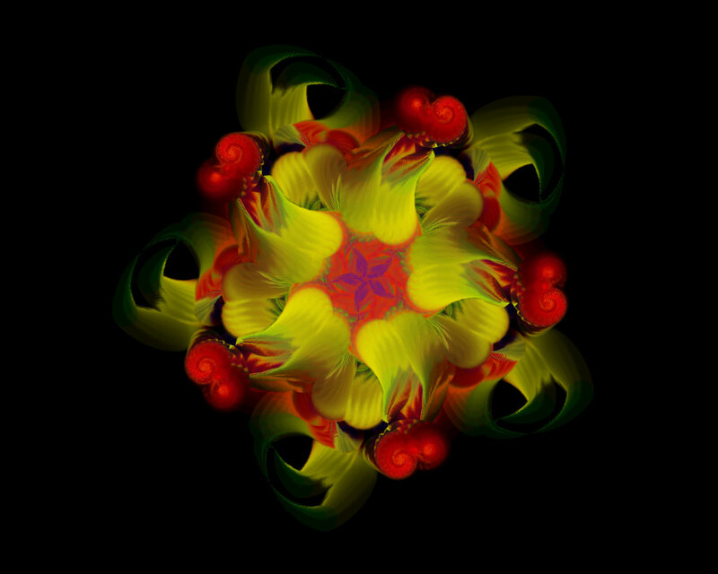 colorful fractal flower