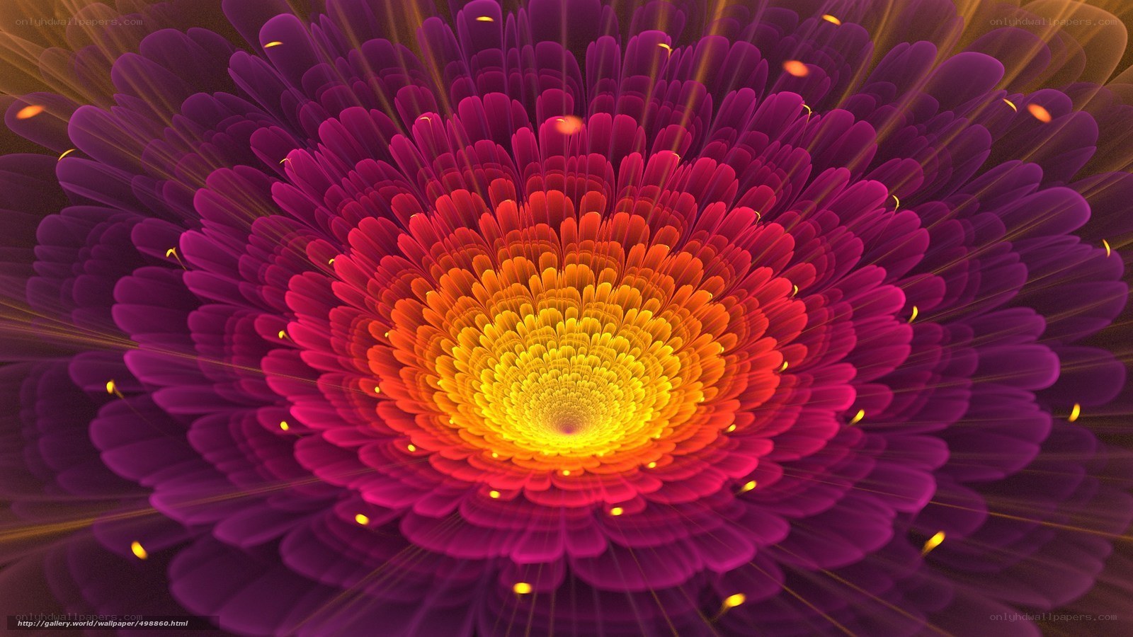Colorful fractal flower