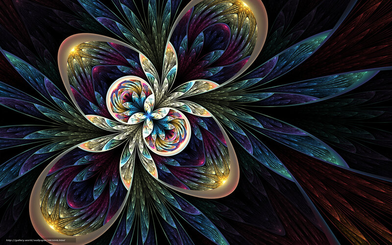 Colorful Fractal Flower — Black, Dramatic, Digital Art