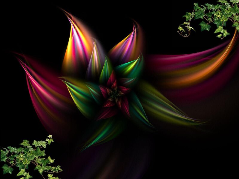 Colorful Fractal Flower — Black
