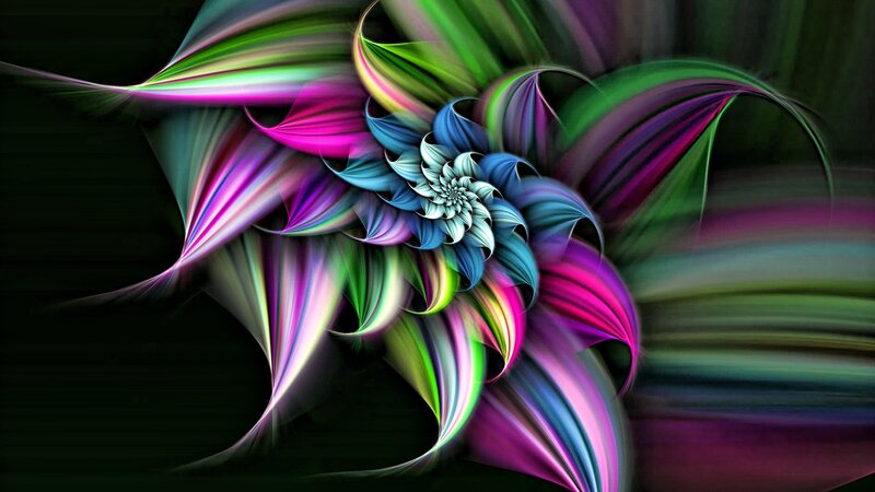 colorful fractal flower design