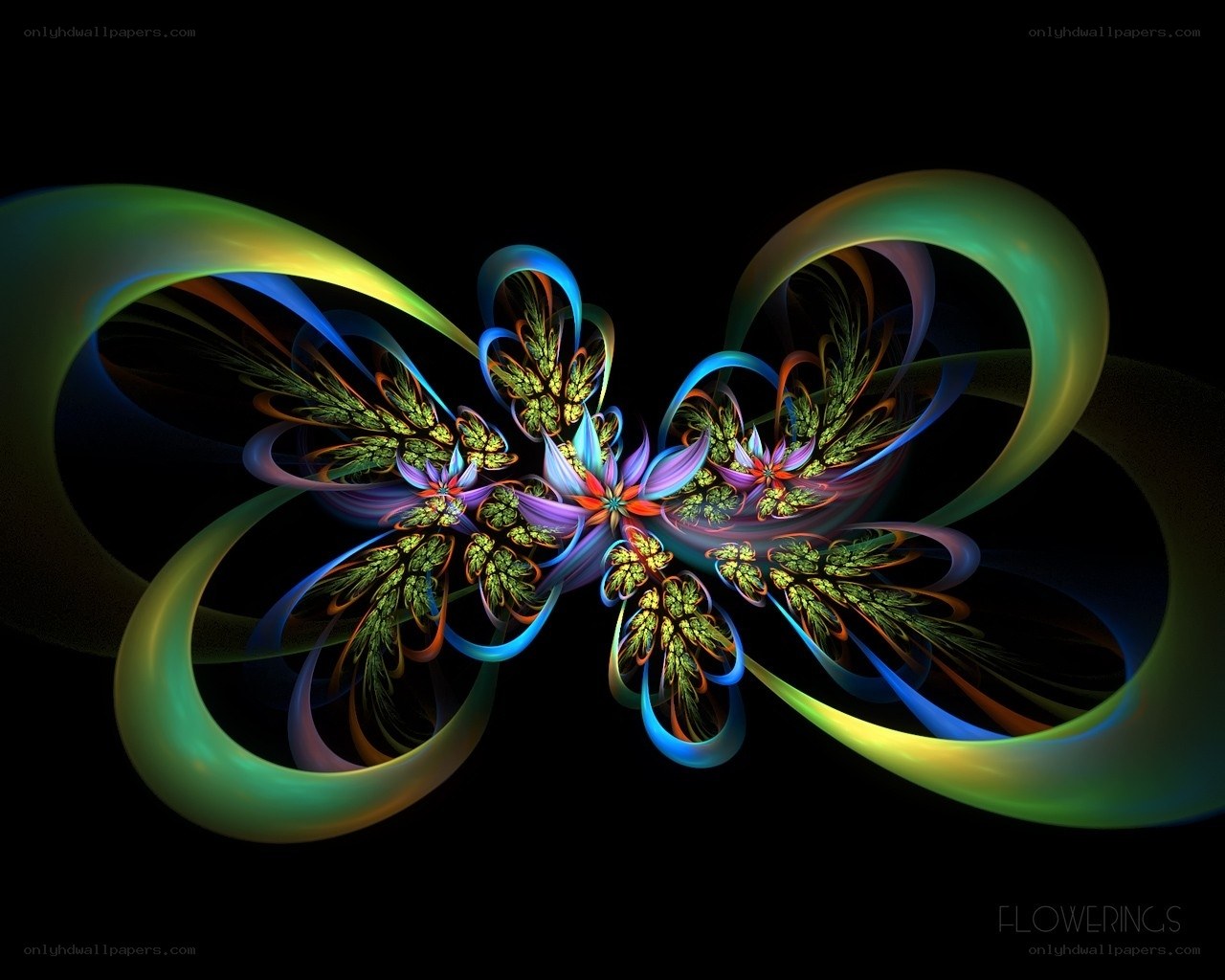 Colorful fractal flower design