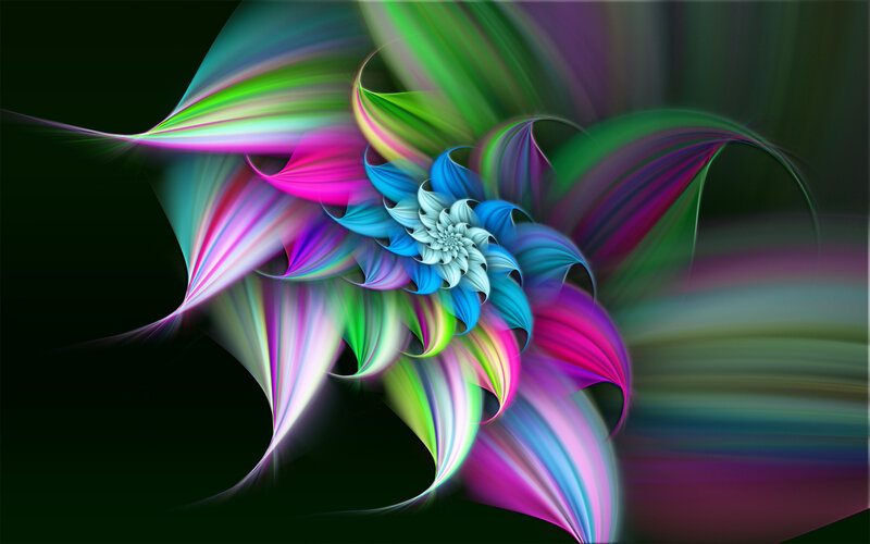 colorful fractal flower design