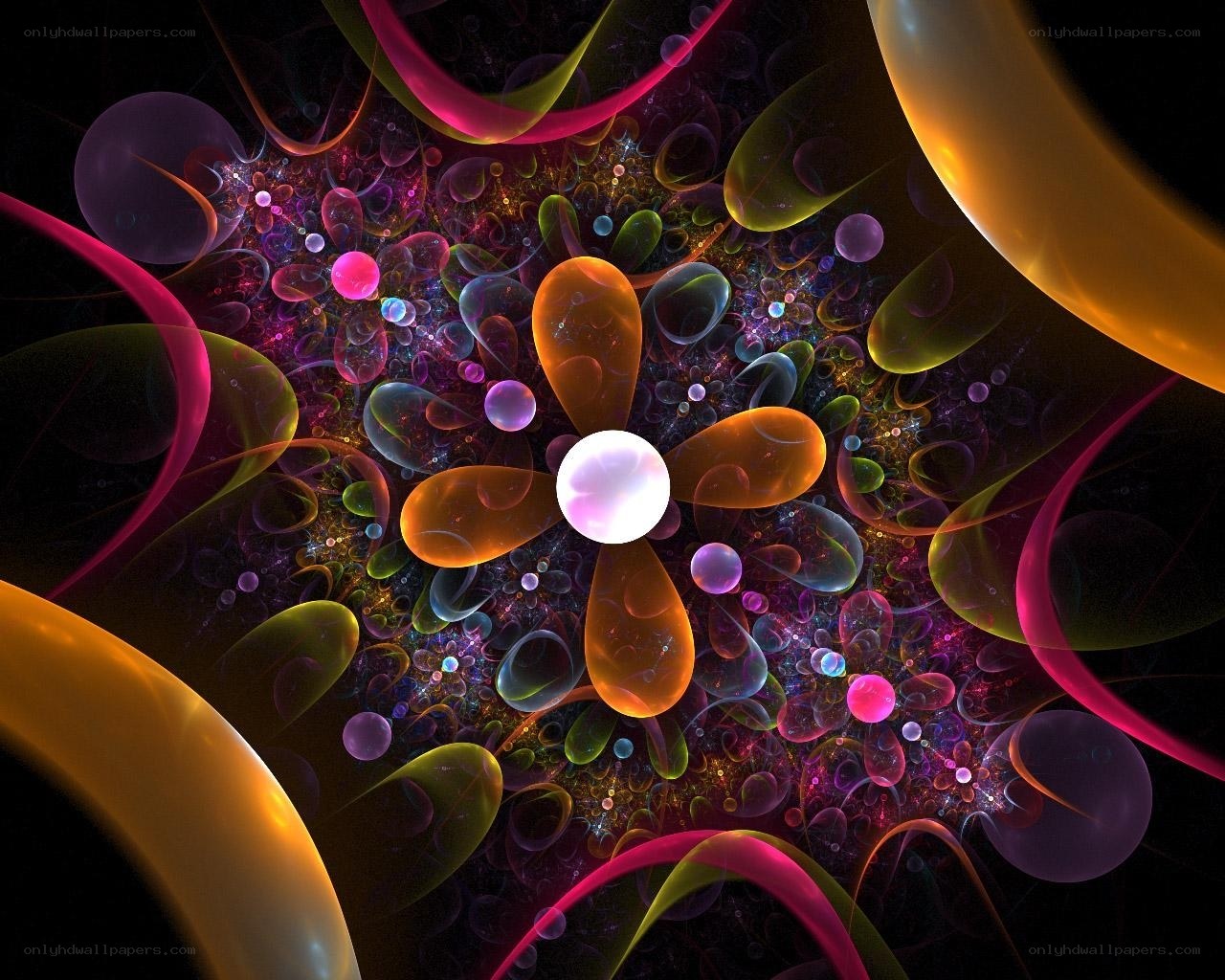 Colorful fractal flower design
