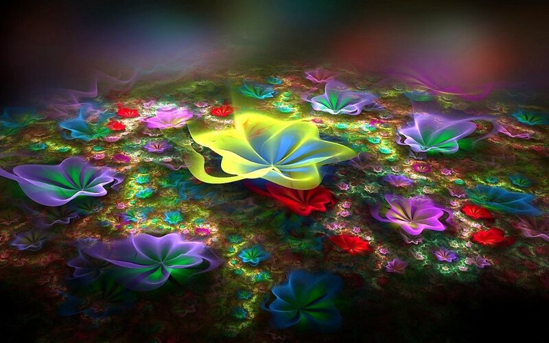 Colorful fractal flower field