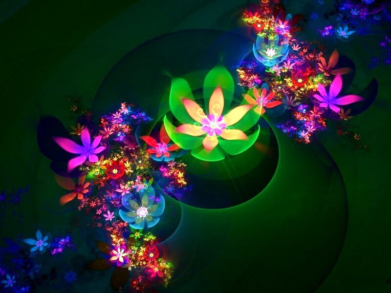 colorful fractal flower garden