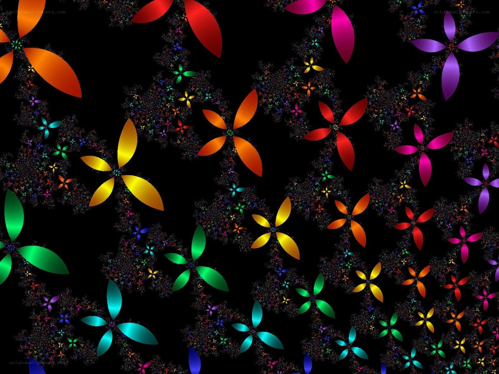 colorful fractal flower pattern
