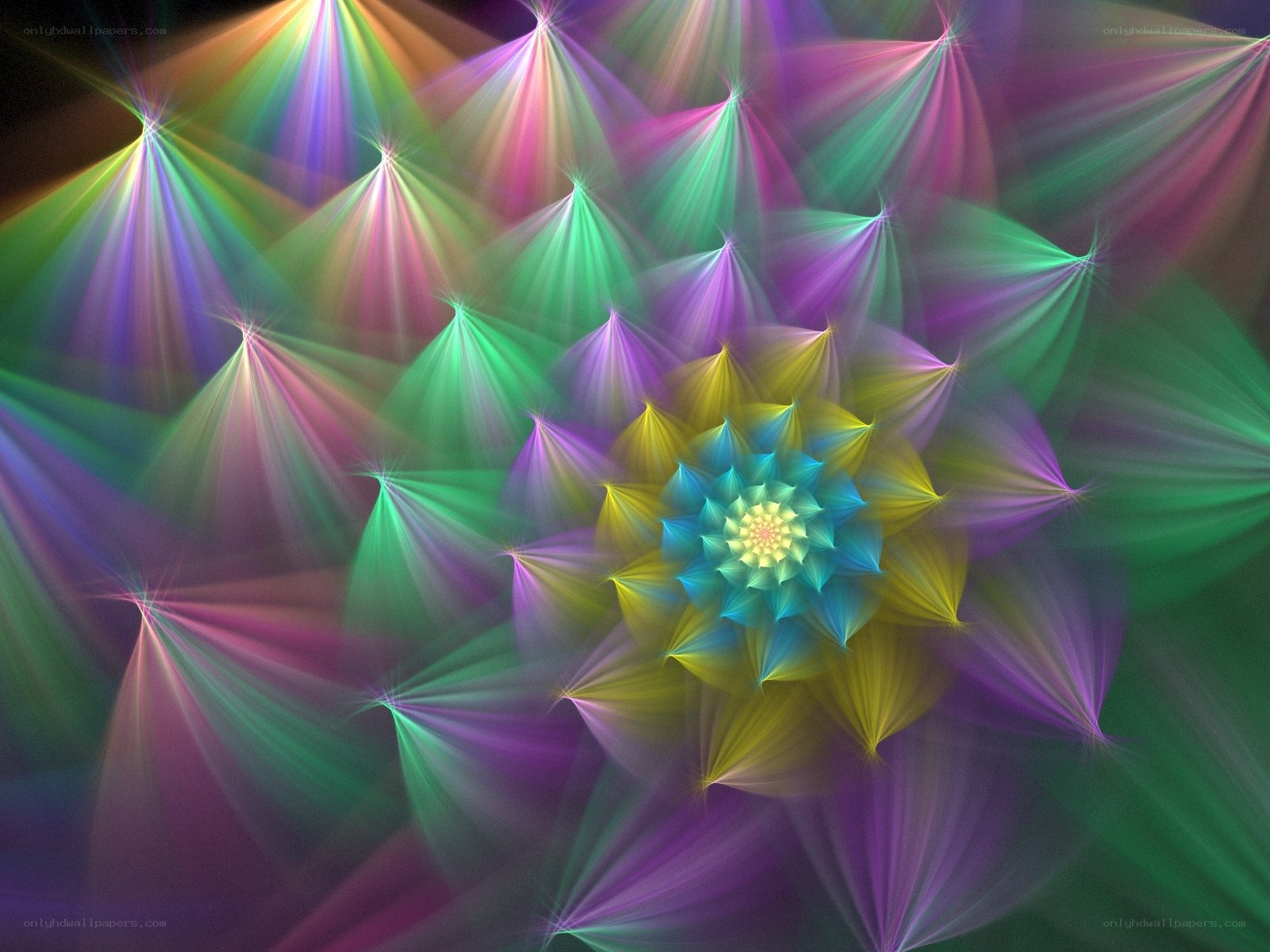 colorful fractal flower pattern